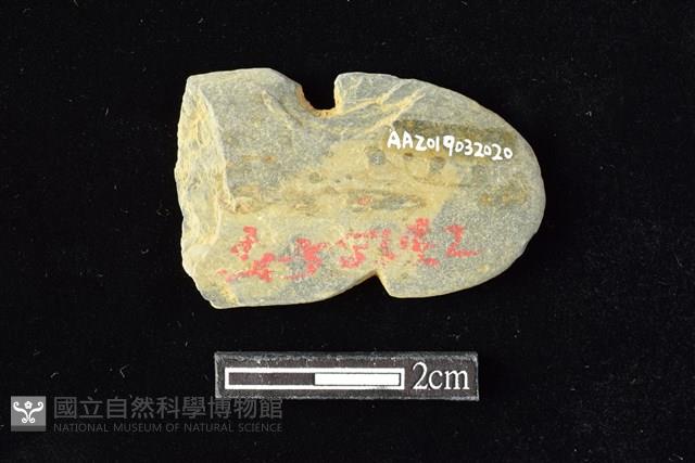 網墜藏品圖，第2張