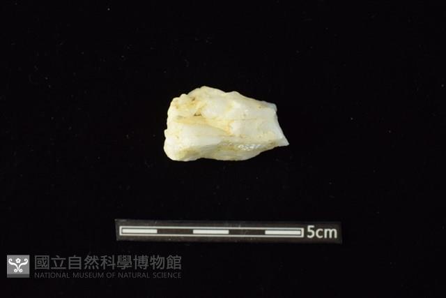 石材藏品圖，第1張