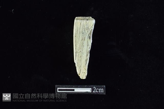 錛鑿形器藏品圖，第2張