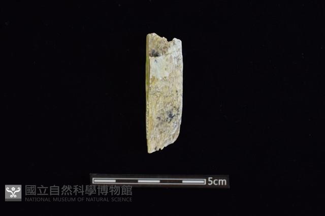 玉料藏品圖，第1張