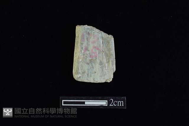錛鑿形器藏品圖，第2張