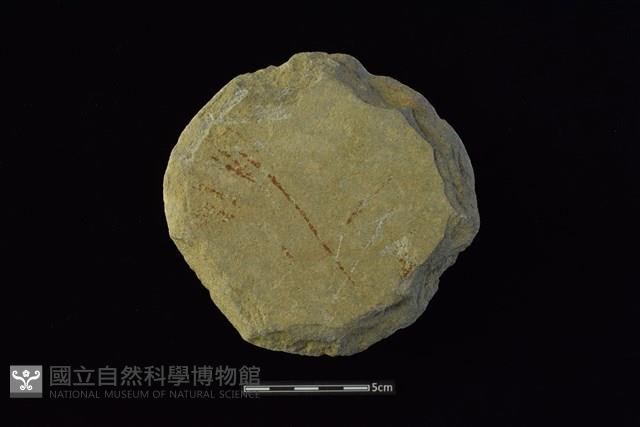 石圓片藏品圖，第1張