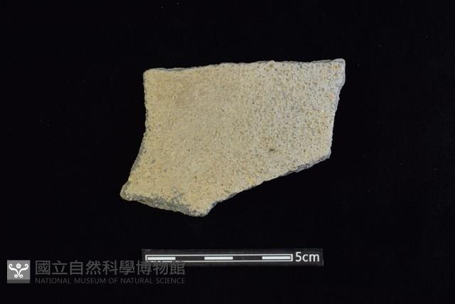 陶片藏品圖，第1張