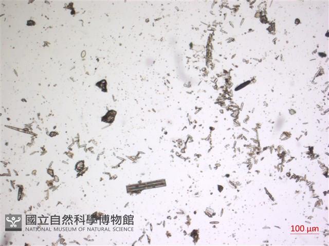 登錄號:A00004670藏品圖，第2張