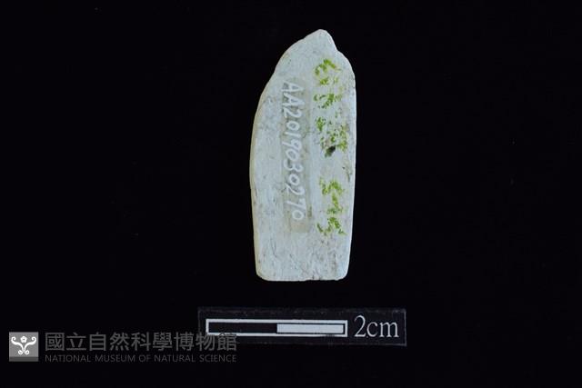 錛鑿形器藏品圖，第2張