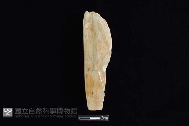 錛鑿形器藏品圖，第2張