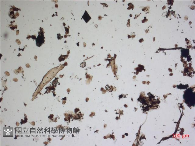 登錄號:A00004570藏品圖，第2張