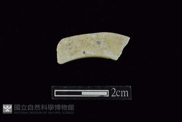 玉料藏品圖，第2張