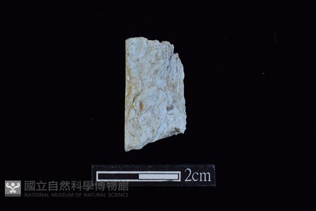 錛鑿形器藏品圖，第2張