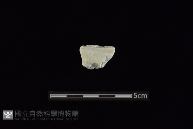 玉料藏品圖，第1張