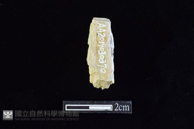 錛鑿形器藏品圖，第2張