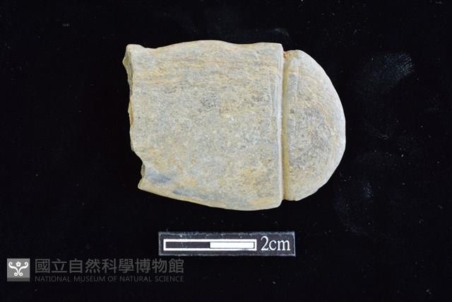 網墜藏品圖，第1張