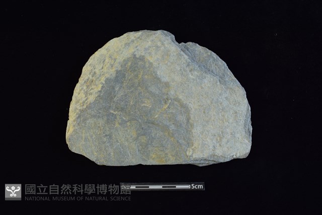 石圓片藏品圖，第1張