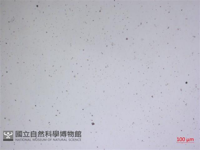 登錄號:A00004610藏品圖，第2張
