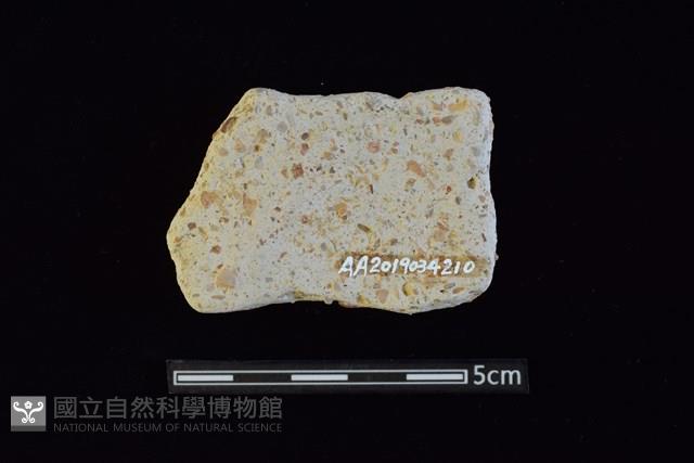 陶片藏品圖，第2張