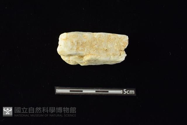 石材藏品圖，第1張