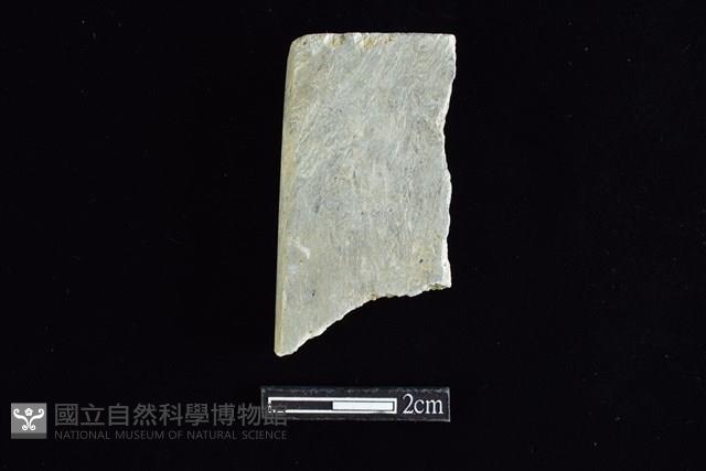 錛鑿形器藏品圖，第2張