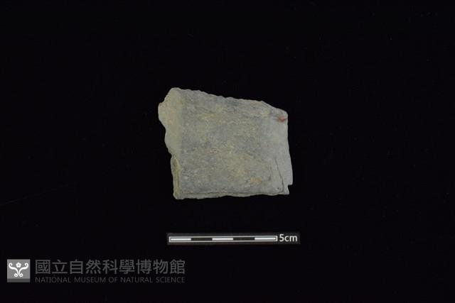 戈形器藏品圖，第1張