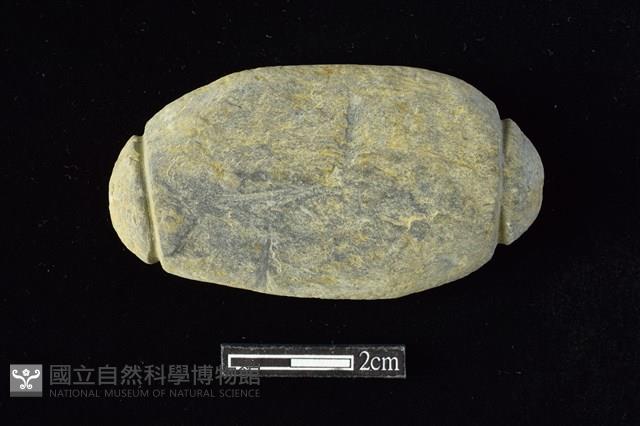 網墜藏品圖，第1張