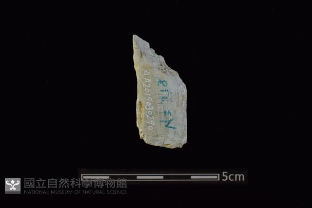 錛鑿形器藏品圖，第2張