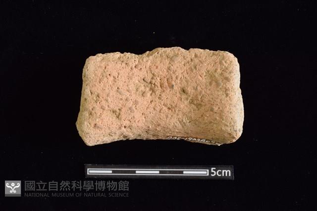 陶罐藏品圖，第2張