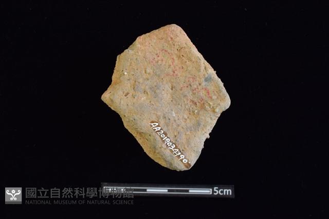 陶片藏品圖，第2張