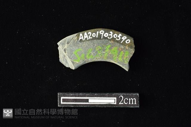 石環藏品圖，第2張