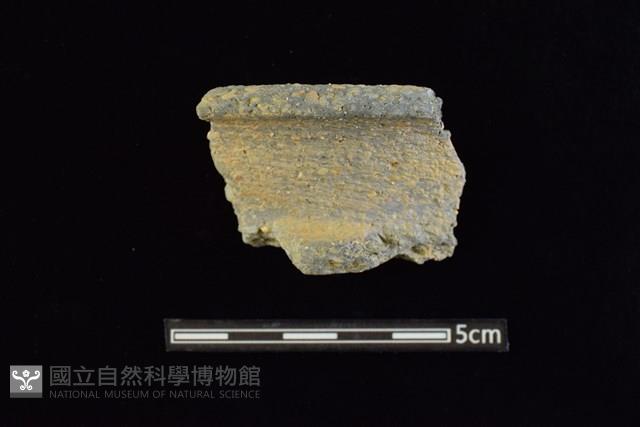 陶罐藏品圖，第1張