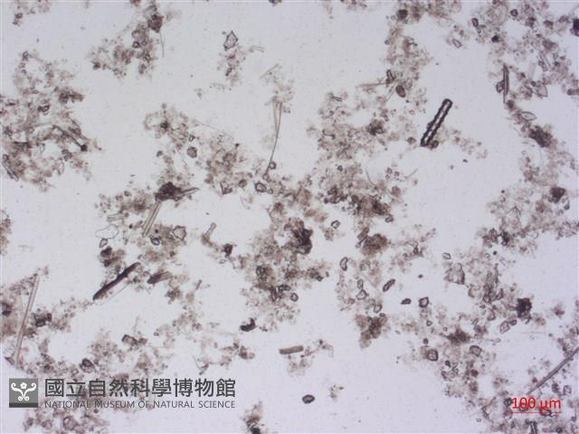 登錄號:A00004490藏品圖，第2張