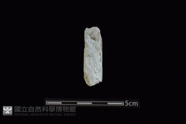 玉料藏品圖，第1張