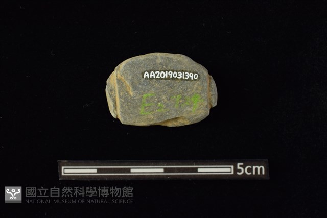 網墜藏品圖，第2張