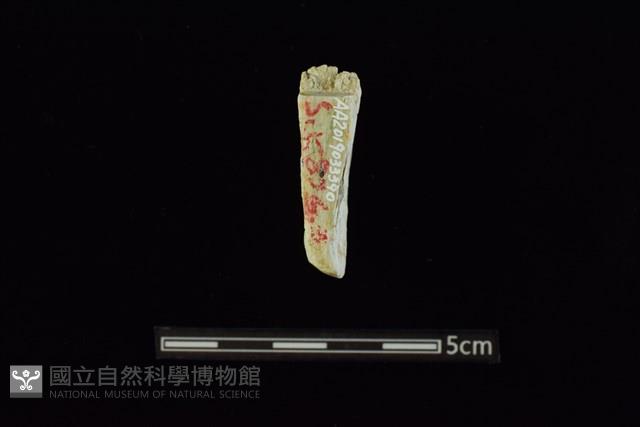 玉料藏品圖，第2張