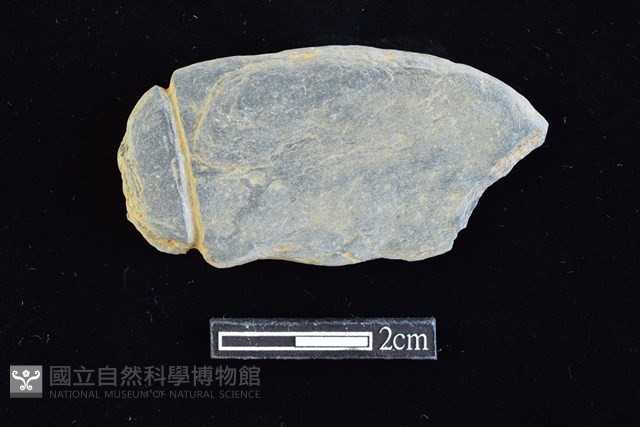 網墜藏品圖，第1張