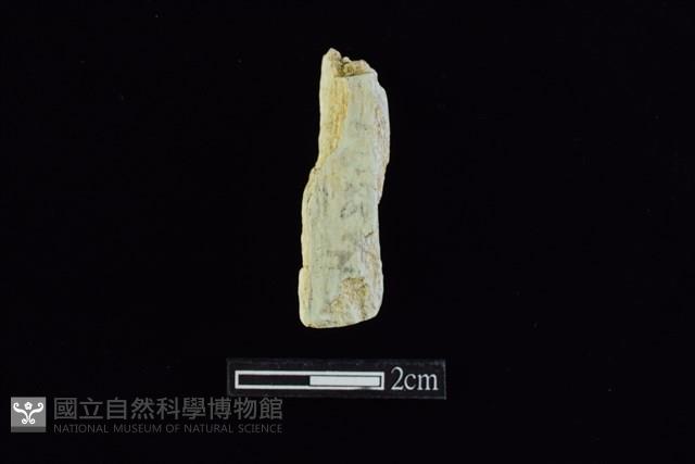 錛鑿形器藏品圖，第2張