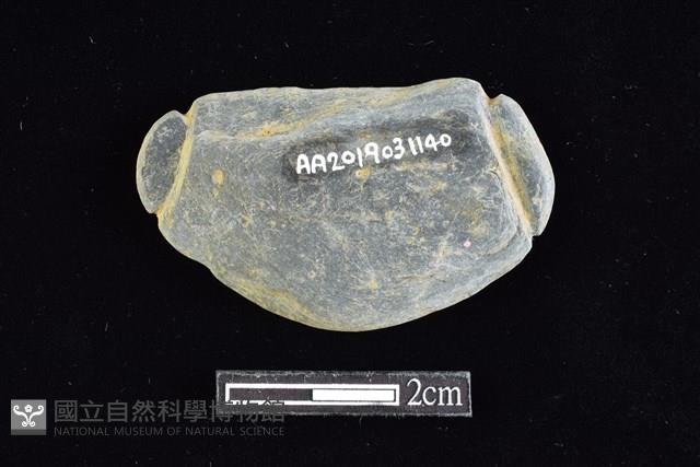 網墜藏品圖，第2張