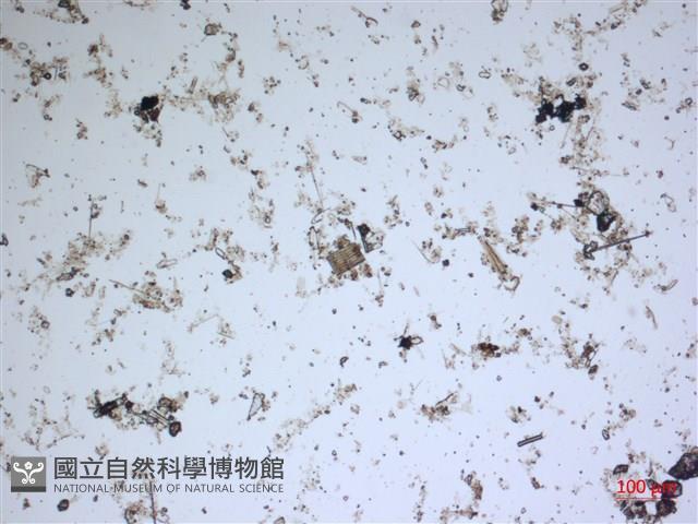 登錄號:A00004540藏品圖，第2張