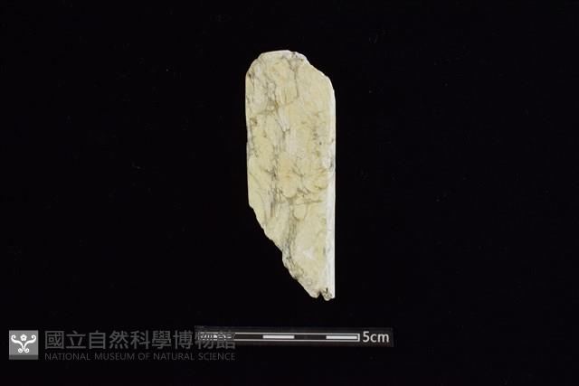 錛鑿形器藏品圖，第2張