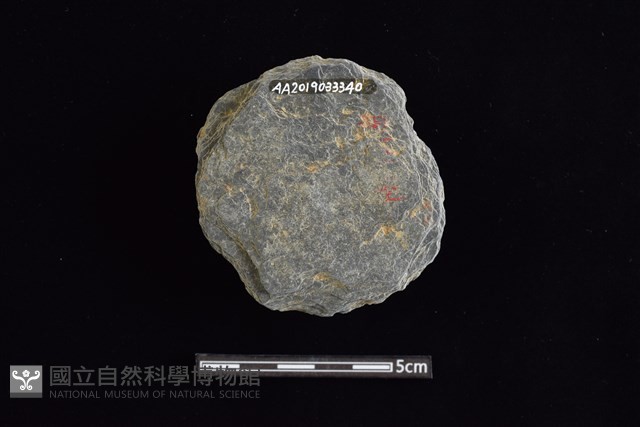 石圓片藏品圖，第2張