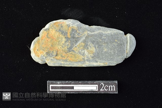 網墜藏品圖，第1張