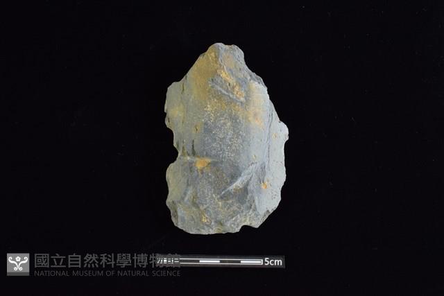 戈形器藏品圖，第1張