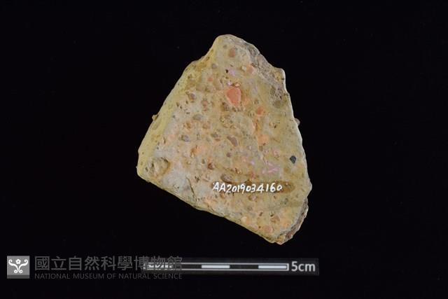 陶片藏品圖，第2張