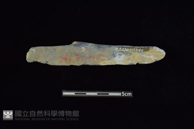 網墜藏品圖，第2張