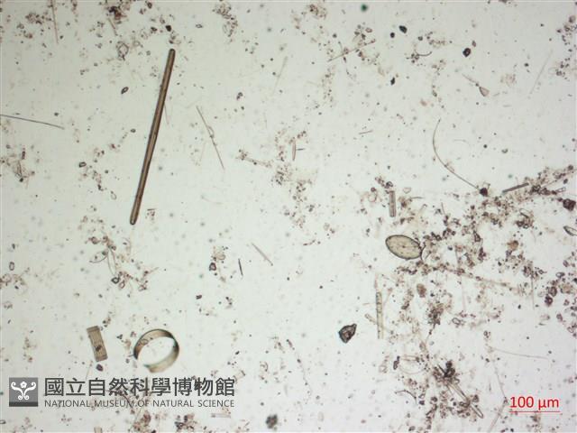 登錄號:A00004560藏品圖，第2張