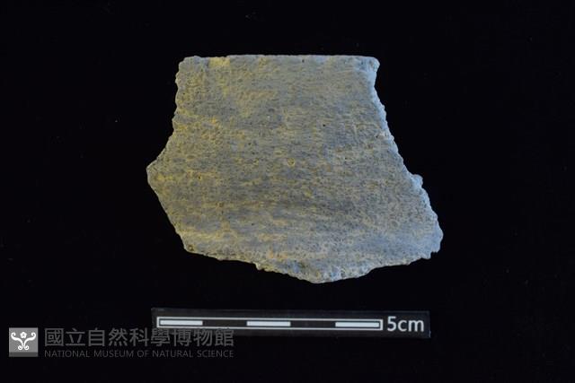 陶罐藏品圖，第1張