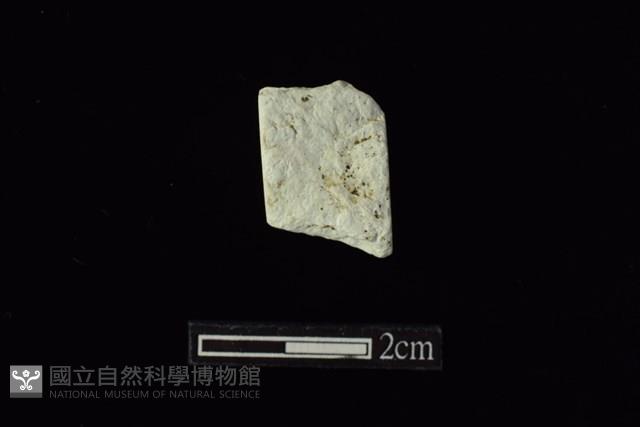 錛鑿形器藏品圖，第2張