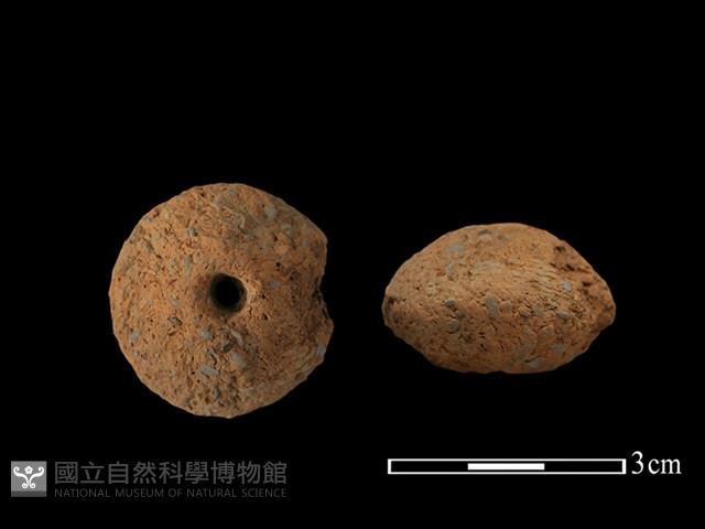 紡輪藏品圖，第1張