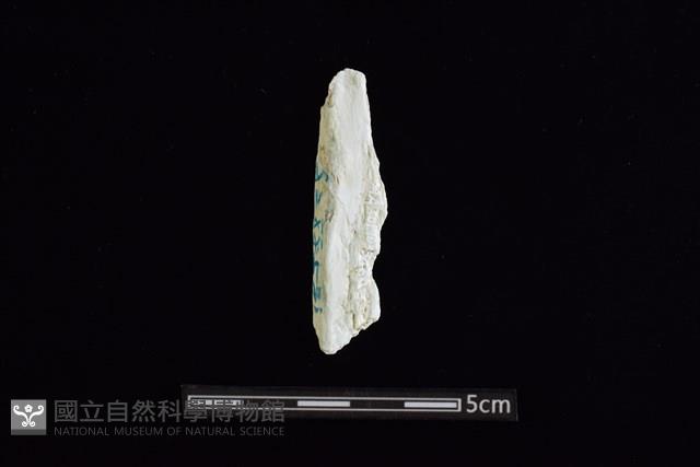 玉料藏品圖，第1張