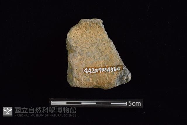 陶罐藏品圖，第2張