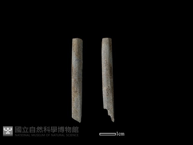 石針藏品圖，第1張