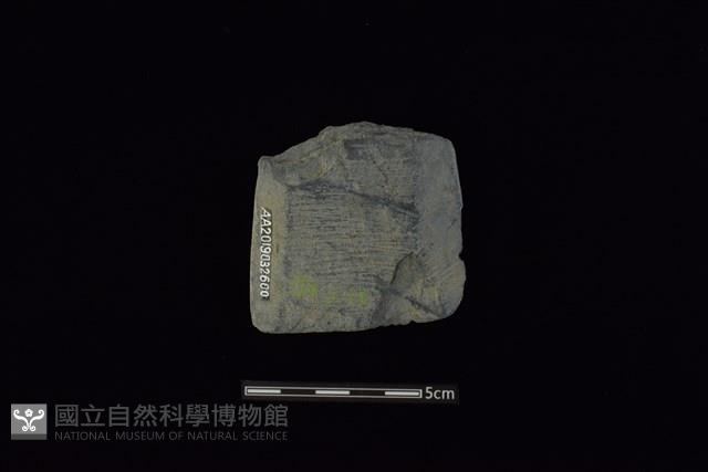 戈形器藏品圖，第1張